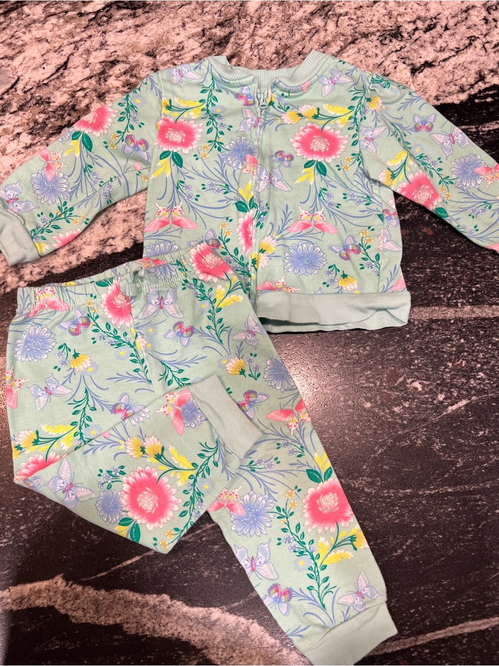 Bundles Baby Place Floral Butterfly 2-Piece Sweat Set 18-24M Mint Green